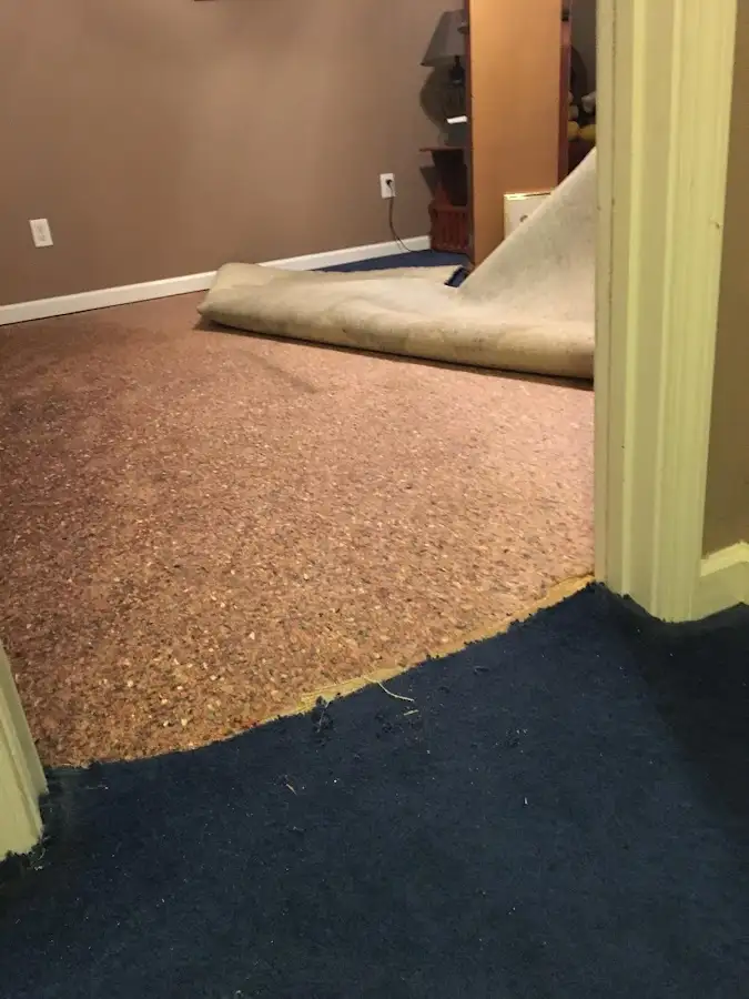 Carpet pad removal revealing water damage during Drying & Dehumidification in Clarksville