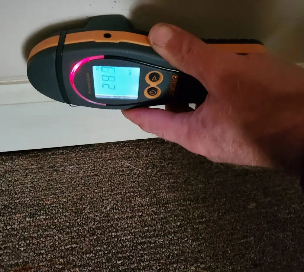 Moisture detection at baseboard during Sewage Cleanup & Sanitation in Clarksville